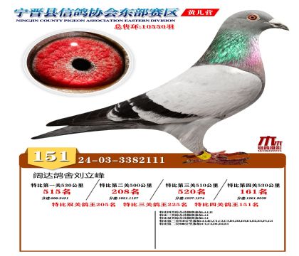 رP(gun)151