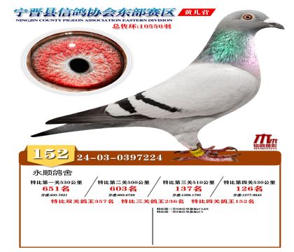 رP(gun)152