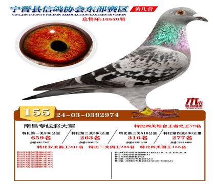 رP(gun)155