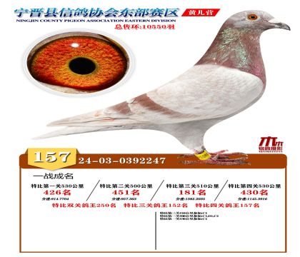 رP(gun)157