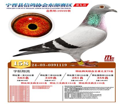 رP(gun)158