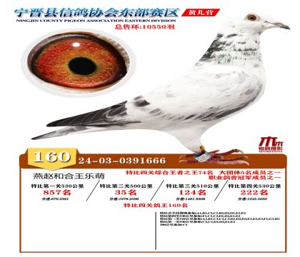 رP(gun)160