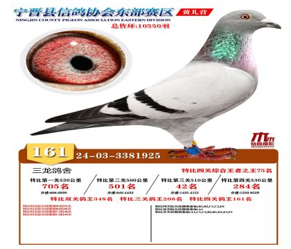 رP(gun)161