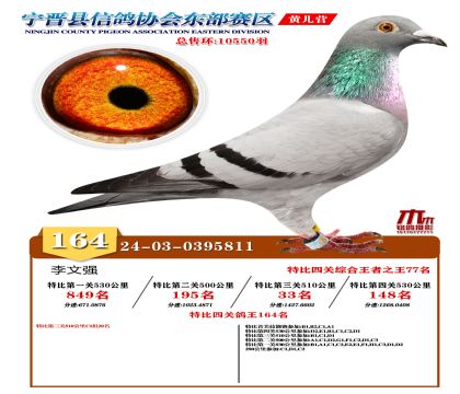 رP(gun)164