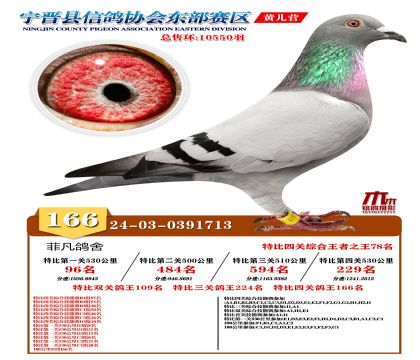 رP(gun)166