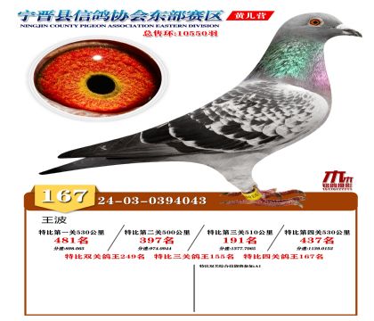 رP(gun)167