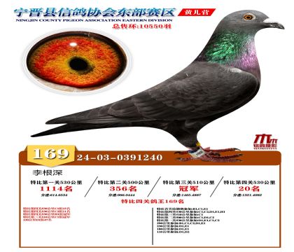 رP(gun)169