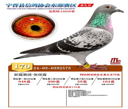 رP(gun)170
