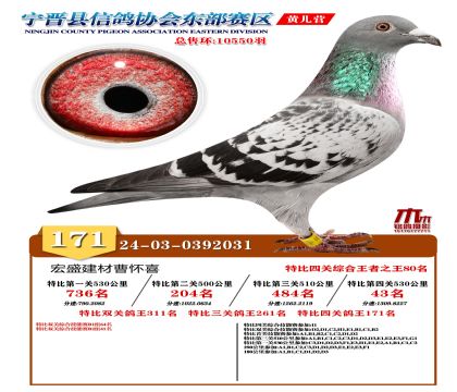 رP(gun)171