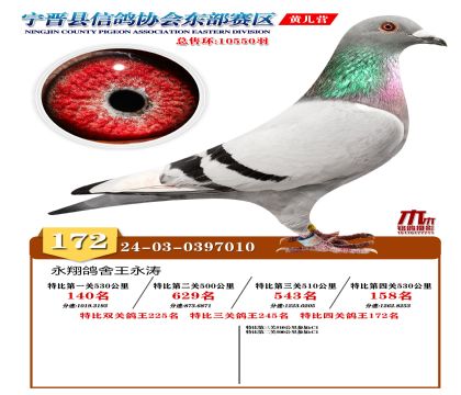 رP(gun)172
