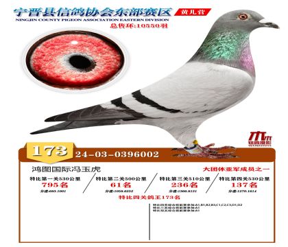 رP(gun)173