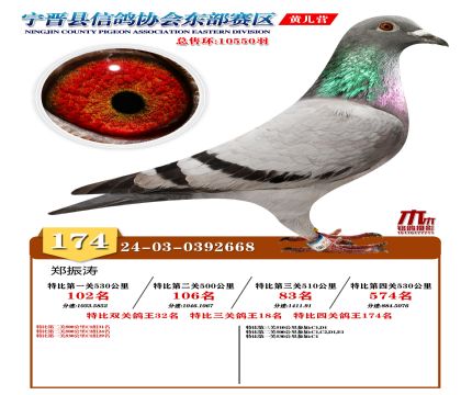 رP(gun)174