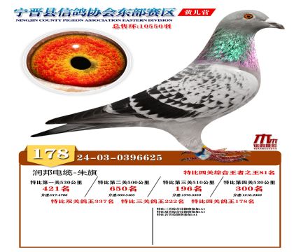 رP(gun)178