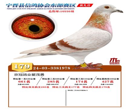 رP(gun)179