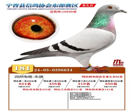 رP(gun)181