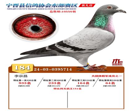 رP(gun)184