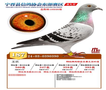 رP(gun)187