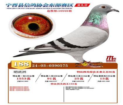 رP(gun)188