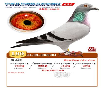 رP(gun)190