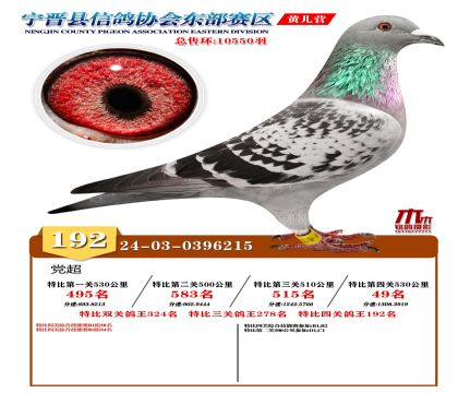 رP(gun)192
