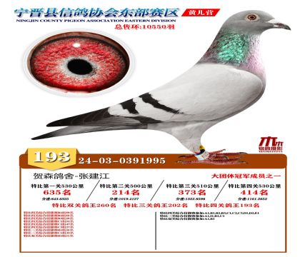 رP(gun)193