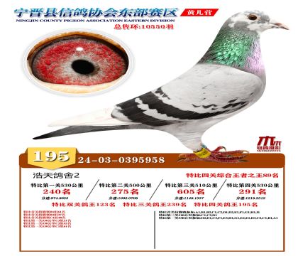 رP(gun)195