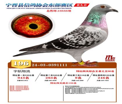 رP(gun)196