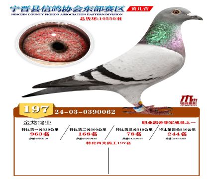 رP(gun)197