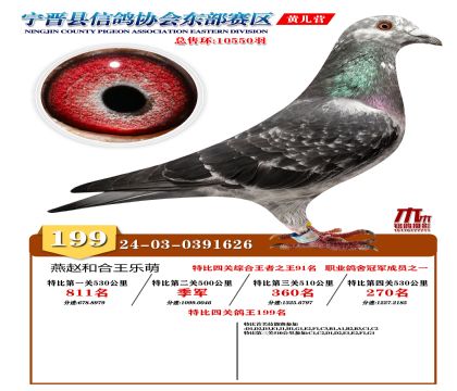 رP(gun)199