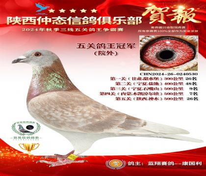 院外五關鴿王冠軍