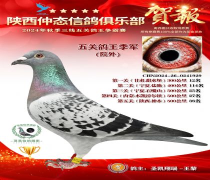 院外五關鴿王季軍