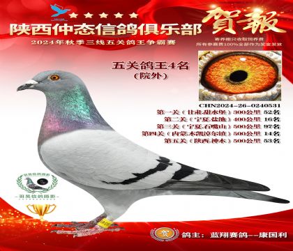 院外五關鴿王4名