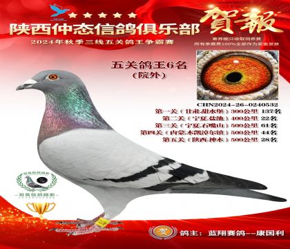 院外五關鴿王6名