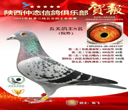 院外五關鴿王8名