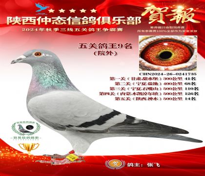 院外五關鴿王9名