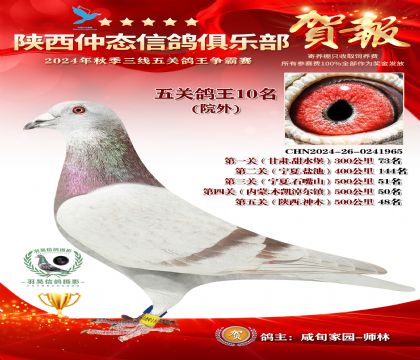 院外五關鴿王10名