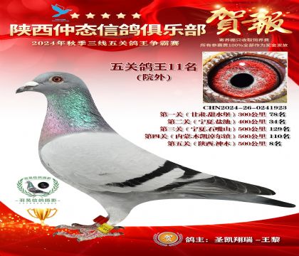 院外五關鴿王11名