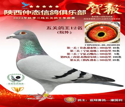院外五關鴿王12名