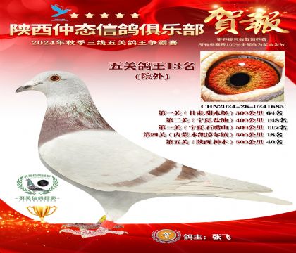院外五關鴿王13名