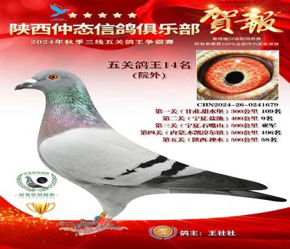 院外五關鴿王14名