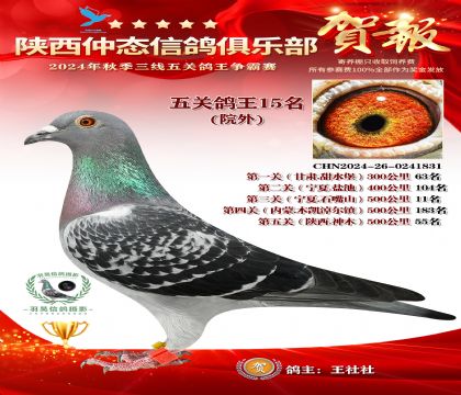 院外五關鴿王15名