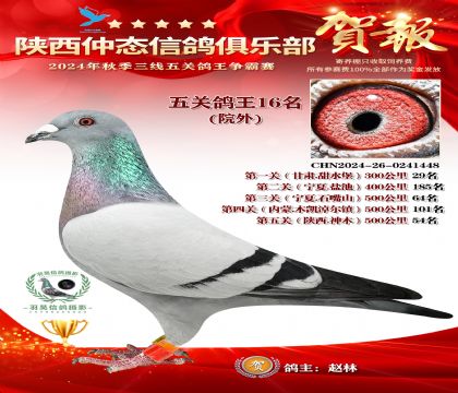 院外五關鴿王16名