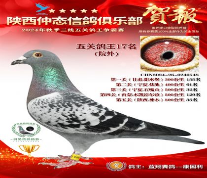 院外五關鴿王17名