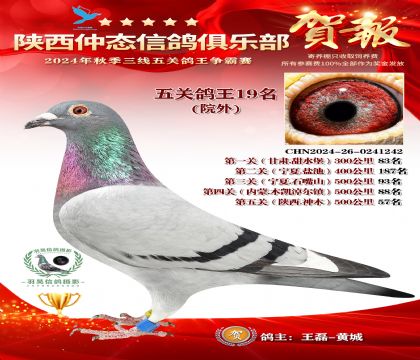院外五關鴿王19名