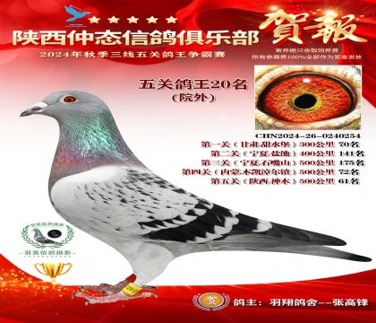 院外五關鴿王20名