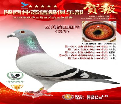 院內(nèi)五關(guān)鴿王冠軍