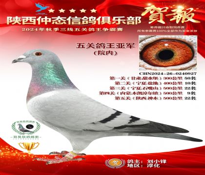 院內(nèi)五關(guān)鴿王亞軍