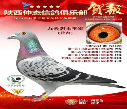 院內(nèi)五關(guān)鴿王季軍