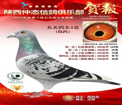 院內(nèi)五關(guān)鴿王4名