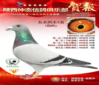 院內(nèi)五關(guān)鴿王5名